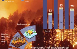 [INFOGRAPHIC] Thế giới thiệt hại 187 tỷ USD do thảm họa trong năm 2020
