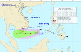 Bão số 14 có khả năng mạnh thêm, 1.300 tàu thuyền trong vùng bão đi qua