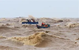 Huy động tàu thuyền tìm kiếm hai nhân viên hải đăng bị sóng cuốn mất tích