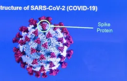 Kịch tính cuộc đua giữa vaccine COVID-19 và hàng nghìn biến thể SARS-CoV-2