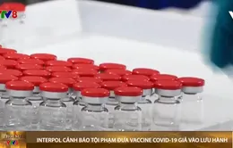 Interpol cảnh báo tội phạm đưa vaccine COVID-19 giả vào lưu hành