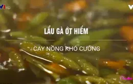 Lẩu gà ớt hiểm: Cay nồng khó cưỡng