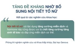 Bổ sung nội tiết tố nữ đúng cách để tăng sức đề kháng cho phụ  nữ