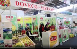 Doanh nghiệp Hiệp hội rau quả Việt Nam tham gia Fruit Logistica 2020