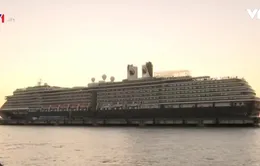 Một hành khách trên du thuyền Westerdam mắc COVID-19