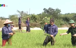 Vững vàng thế trận phòng thủ tuyến biên giới