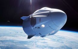 SpaceX công bố dự án mới đưa du khách vào không gian