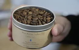 Cà phê Geisha có giá bán đắt nhất thế giới
