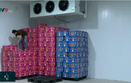 Cơ sở thu mua nông sản lỗ nặng vì dịch viêm phổi cấp do virus Corona