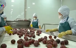 Còn nhiều tiềm năng và dư địa cho chế biến sâu nông sản