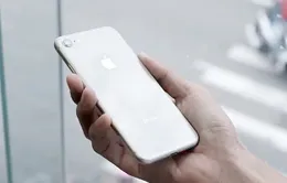 Sẽ chẳng có iPhone 9 hay iPhone SE 2 nào được Apple ra mắt