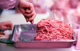 Đài Loan (Trung Quốc) cấm nhập khẩu thịt lợn của Italy do lo ngại dịch tả châu Phi