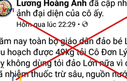 Phạt 12,5 triệu đồng nữ doanh nhân tung tin sai về tỏi Lý Sơn