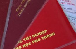 Đăk Lăk: Cách chức, buộc thôi việc Hiệu trưởng trường mầm non sử dụng bằng giả