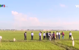 Bộ Nông nghiệp và Phát triển nông thôn kiểm tra tình hình hạn hán tại Bình Định
