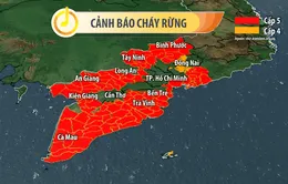 Toàn bộ 19 tỉnh thành Nam Bộ cảnh báo cháy rừng "cực kỳ nguy hiểm"