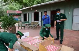 Tây Ninh: Bắt vụ vận chuyển thuốc tân dược qua biên giới