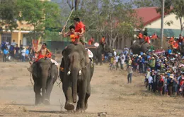 Đắk Lắk tạm dừng các tour kích cầu du lịch từ 19/3