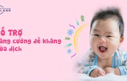 Giải pháp hỗ trợ tăng đề kháng cơ thể bằng Bào tử lợi khuẩn và đường kích thích miễn dịch XOS