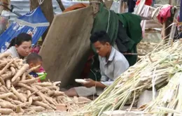 Ngăn chặn tảo hôn ở vùng đồng bào Raglai, Khánh Hòa