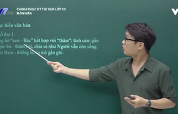 Chinh phục kỳ thi vào lớp 10 năm 2020 - Môn Ngữ Văn: Ôn tập các tác phẩm thơ Mùa xuân nho nhỏ, Viếng lăng Bác và Sang thu