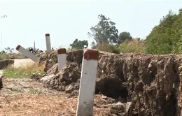 Chốt phương án khắc phục sụt lún đê biển Tây