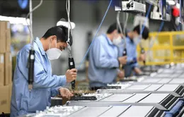 Gần 300 triệu người ở Trung Quốc trở lại làm việc