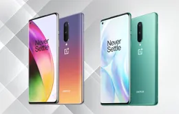 OnePlus 8 Series: “Sát thủ” mới của iPhone sẽ ra mắt vào 14/4