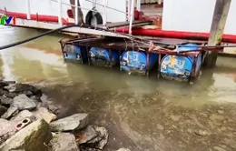Hà Tĩnh: Tìm nguyên nhân vệt dầu loang xuất hiện trên tuyến sông Lam