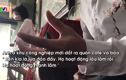 Lừa đảo môi giới việc làm tại TP.HCM