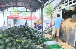 Giải cứu nông sản: Đừng lợi dụng lòng thương!