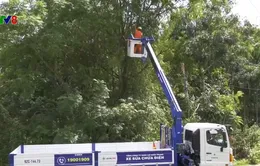 Lãnh đạo Quảng Nam làm việc với Điện lực