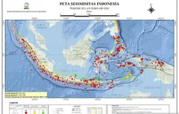 Indonesia ghi nhận gần 800 trận động đất và rung chấn trong tháng 2