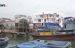 Quảng Nam: Nhiều vướng mắc trong dự án cảng cá Tam Quang