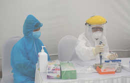 CDC Hà Nội không mua kit test xét nghiệm COVID-19 của Công ty Việt Á