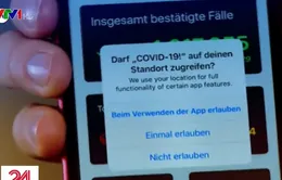 Lo ngại về tính bảo mật của ứng dụng theo dõi người nghi mắc COVID-19