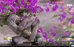 Bông giấy bonsai - ngã rẽ cho làm giàu.