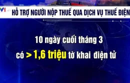 Hỗ trợ người nộp thuế qua dịch vụ thuế điện tử