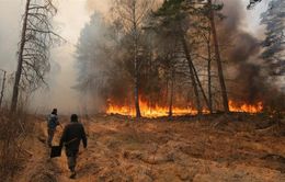 Ukraine: Ô nhiễm không khí nghiêm trọng do cháy rừng