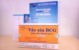 Sẽ tiêm thử nghiệm vaccine ngừa lao chống COVID-19