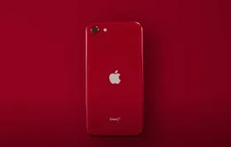 iPhone SE mới sẽ "cướp" khách hàng của iPhone 11