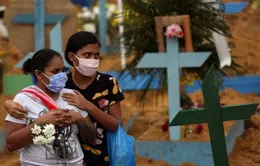 Brazil tăng kỷ lục ca tử vong vì SARS-CoV-2