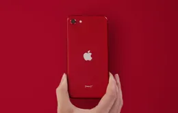 "Sát thủ" của iPhone SE 2020 sắp ra mắt