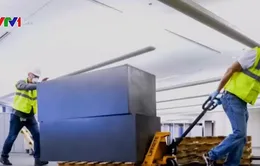 Doanh nghiệp bắt tay từ xa để cộng sinh trong mùa dịch