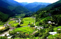 Xu hướng thành phố không rác thải