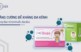 Sử dụng Bào tử lợi khuẩn Bacillus giúp tăng cường đề kháng đa kênh