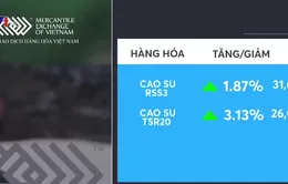 Giá cao su đồng loạt tăng