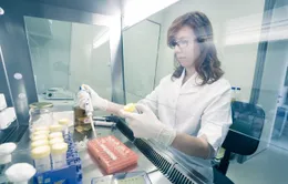 Thuốc tẩy giun Ivermectin có hiệu quả tốt trong điều trị COVID-19
