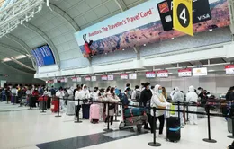 Đưa 300 công dân Việt Nam từ Canada về nước