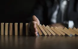 Doanh nghiệp Việt Nam và “hiệu ứng Domino” thời COVID-19